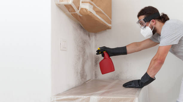 Professional Bathroom Mold Removal technician working in Edgewood, KY